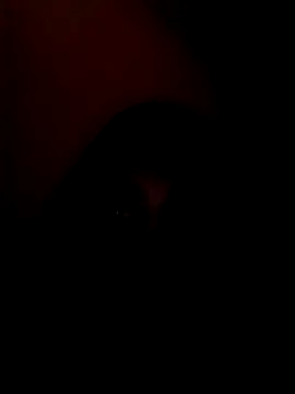 Snapshot of arushi_bb chatting on 01-15-26, 03:38 arushi bb online show from 01-15-26, 03:38