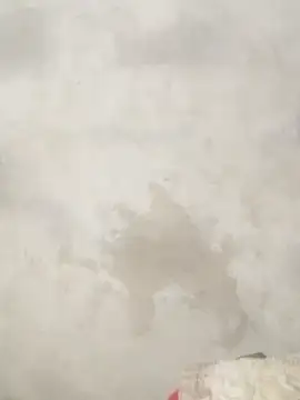 Savi-cute online show from 02-21-26, 12:33