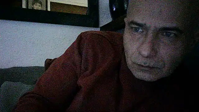 dogfrota online show from 06-14-26, 08:22