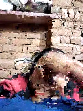 Snapshot of Hot_di97 chatting on 02-14-26, 08:38 Hot di97 online show from 02-14-26, 08:38