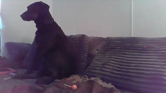 HungandHynotic online show from 03-03-26, 01:01