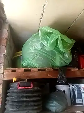 dicklife3485 online show from 03-31-26, 10:37