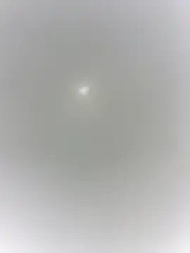 sharck12 35 online show from 01-18-26, 11:14