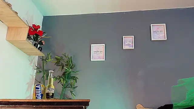 sofia laverde online show from 03-17-26, 07:06