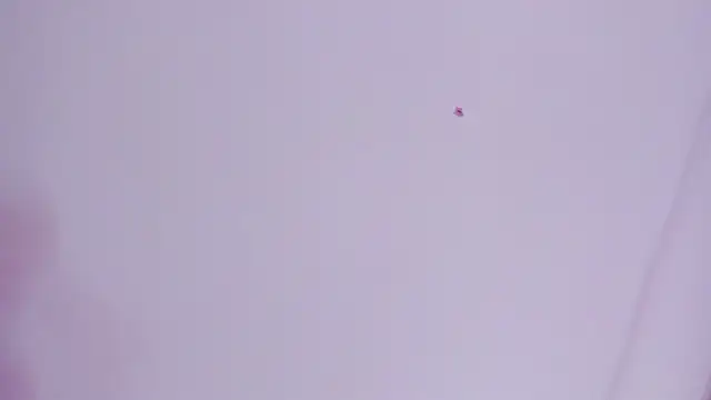 lovely  kiss   online show from 03-26-26, 06:13