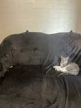 AlisRoxy online show from 02-14-26, 02:14