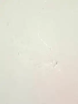 piccolo2002 online show from 04-27-26, 04:05