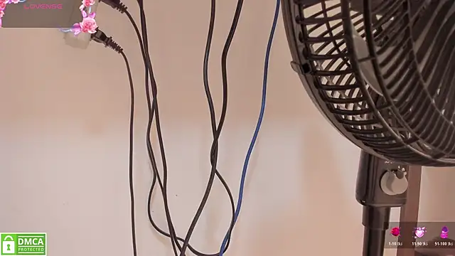 Zamahara Rodriguez online show from 03-08-26, 07:50