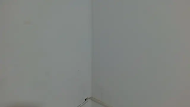 Snapshot of princess1609 chatting on 03-04-26, 01:17 princess1609 online show from 03-04-26, 01:17