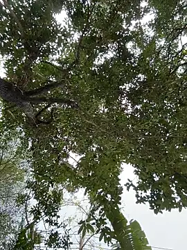 IceMur online show from 02-23-26, 03:04