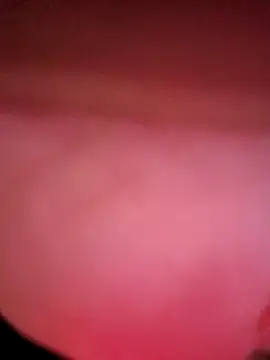 Snapshot of IndorsedTimid chatting on 04-05-26, 11:46 IndorsedTimid online show from 04-05-26, 11:46