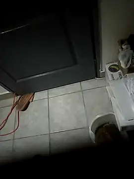 Punciprof online show from 04-09-26, 09:31