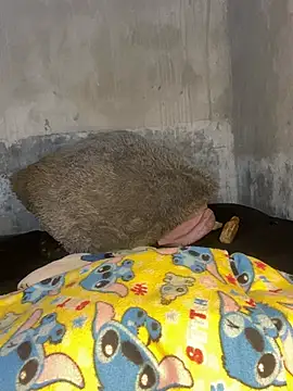 Snapshot of Iam_AlexandraRey chatting on 02-15-26, 07:51 Iam AlexandraRey online show from 02-15-26, 07:51