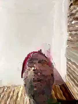 Snapshot of hardlysuck chatting on 02-04-26, 02:39 hardlysuck online show from 02-04-26, 02:39