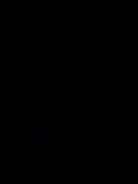 deshilnd online show from 05-04-26, 04:58