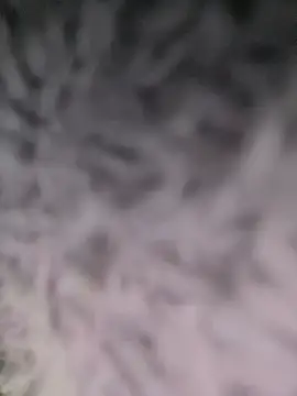 Puka2001 online show from 03-02-26, 06:14