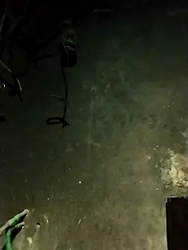 Hoa-tuylip online show from 02-13-26, 01:29