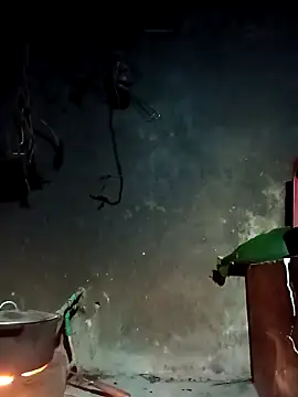 Hoa-tuylip online show from 03-04-26, 10:16