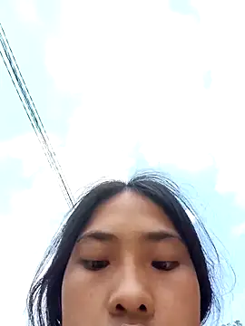 Hoa-tuylip online show from 04-11-26, 07:56