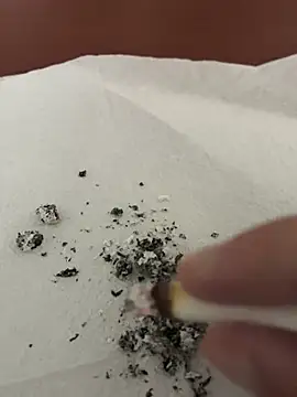 dickdondra online show from 02-02-26, 11:42