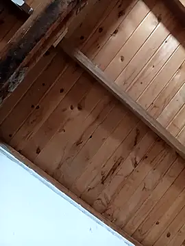 Snapshot of luna_pinky chatting on 03-01-26, 04:42 luna pinky online show from 03-01-26, 04:42