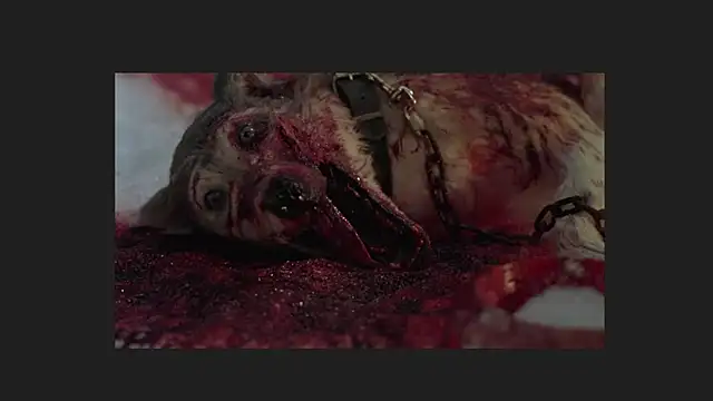 lil monikaa online show from 04-12-26, 01:54