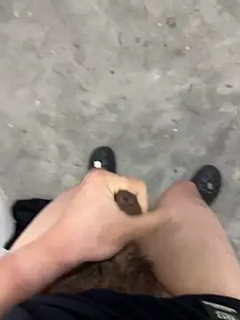 Wvpppp online show from 03-03-26, 11:49