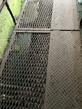 leoooooo88888 online show from 02-25-26, 03:21