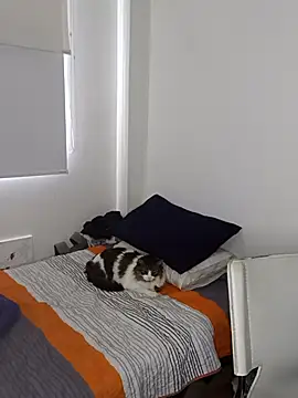 Nikolth 4 online show from 02-04-26, 03:18