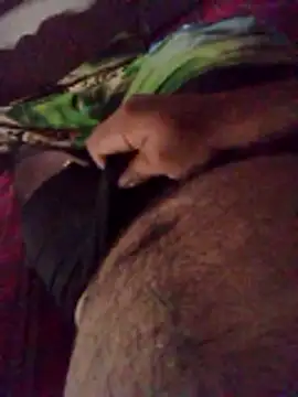 fcenteno124 online show from 04-01-26, 10:18