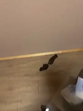 kin-y7 online show from 02-07-26, 03:43