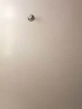 Cati cat3 online show from 02-07-26, 04:43