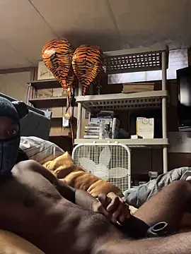 ProveYourLoyalty2 online show from 04-02-26, 12:36