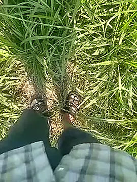 Cute Boy 4 online show from 02-22-26, 05:30