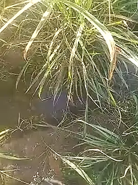 Cute Boy 4 online show from 02-27-26, 02:44