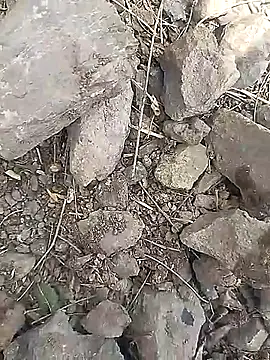 Cute Boy 4 online show from 03-30-26, 06:47