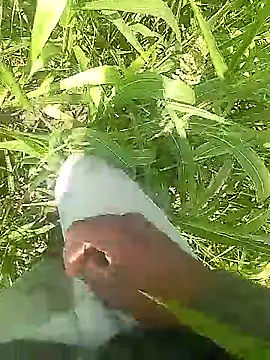 Cute Boy 4 online show from 03-31-26, 06:03