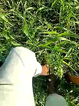 Cute Boy 4 online show from 04-06-26, 02:53