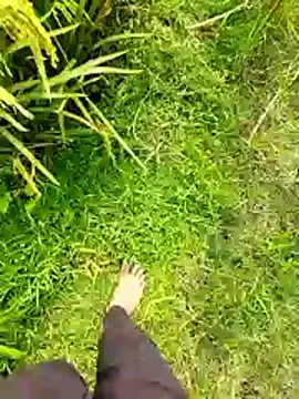 sudip999999 online show from 05-10-26, 09:03
