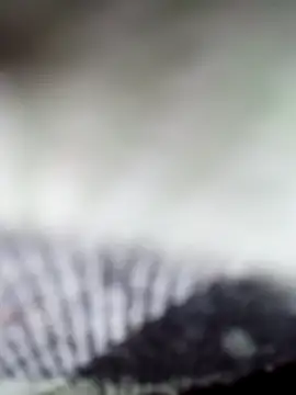 Sexy-Sony770 online show from 02-07-26, 09:07