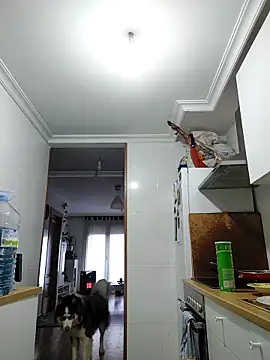 rubio009 online show from 03-29-26, 03:56