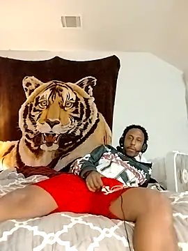 allenray2618 online show from 02-03-26, 05:38