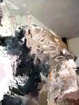 Snapshot of BoxedDitty chatting on 02-21-26, 03:18 BoxedDitty online show from 02-21-26, 03:18