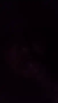 TululipuZ online show from 03-29-26, 04:56