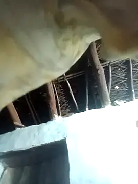 Manu mehta online show from 04-06-26, 05:25