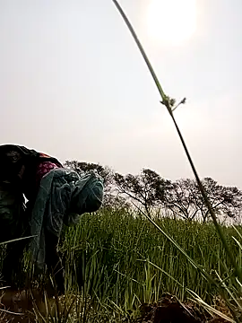 Royal hotti0011 online show from 03-17-26, 03:55