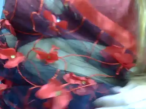 Snapshot of anvika_1709 chatting on 02-10-26, 04:33 anvika 1709 online show from 02-10-26, 04:33