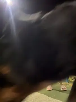 Snapshot of Arya___ chatting on 02-19-26, 05:47 Arya online show from 02-19-26, 05:47