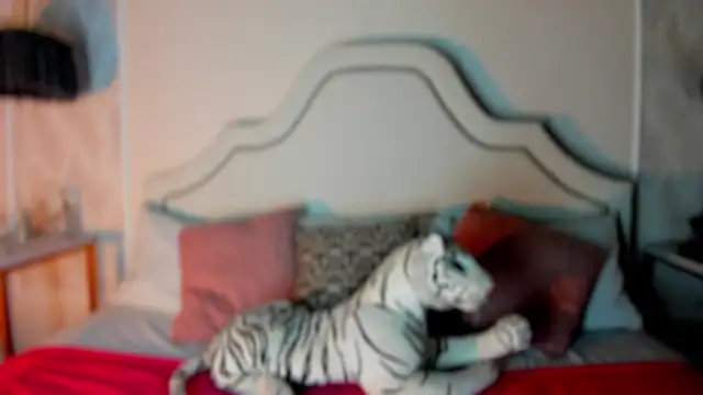 Snapshot of niicole_garner chatting on 02-11-26, 04:34 niicole garner online show from 02-11-26, 04:34