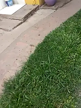 gordorichard online show from 02-04-26, 04:46